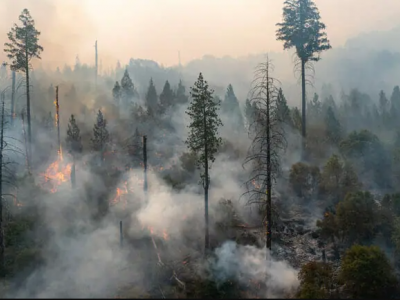  Абай облысындағы өрттен келген шығын әлі есептелген жоқ – Қаржы министрі 