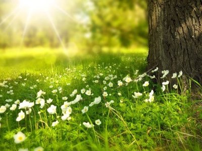 Қазақстанның басым бөлігінде әлі де аптап ыстық болады 