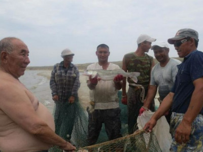  Қыста жалаң қолмен ау құрдық, дауылда қайықтан да құладық - жарты ғасырдан астам уақыт балық аулаған қариямен сұхбат 