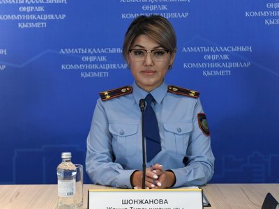 Жасөспірім қылмысының негізгі себептері неде?