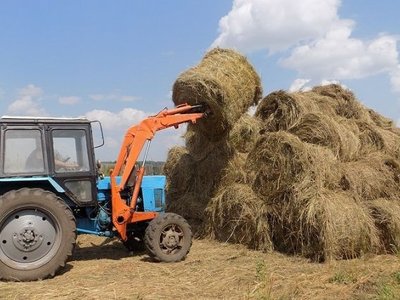 Қазақстанда мал азығына шығын 8% көбейді