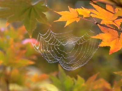 «Мизам шуақ» амалы басталды