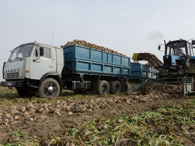 Жетісуда дәнді дақыл жинау науқаны қызу жүріп жатыр