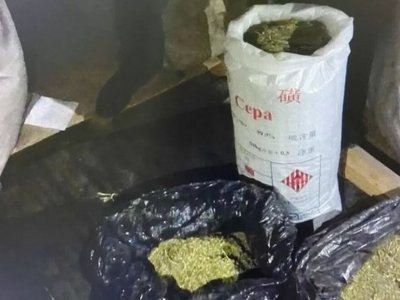 Ақтөбелік алты балалы әке үйінің шатырында есірткінің...