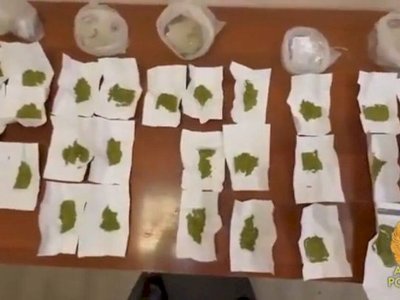 Алматыда есірткі сатушыдан гашиштің ірі партиясы тәркіленді