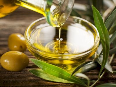 Отандық кәсіпкерлер зәйтүн өсірумен айналыспақ