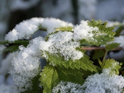 Көктайғақ, қар, аяз: 2 желтоқсанда ауа райы қандай болады?
