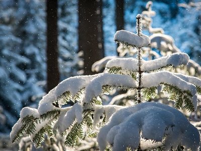 Бүгін еліміздің басым бөлігінде аяз болады