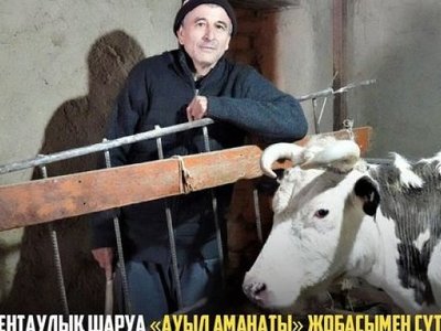 Кентаулық шаруа «Ауыл аманаты» жобасымен сүтті мал...