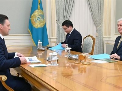 Президент Еуразиялық даму банкінің басқарма төрағасын қабылдады