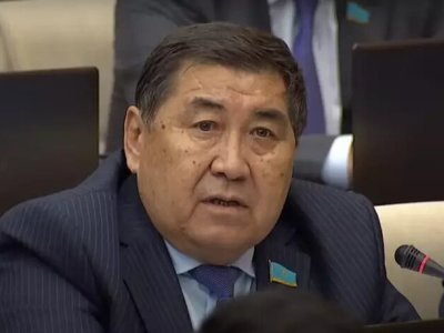 Депутат отағасы туралы заң қабылдауды ұсыныпты