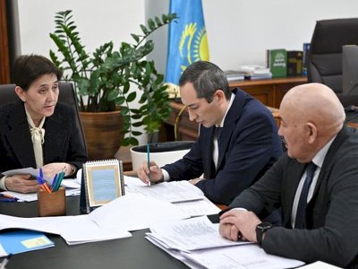 Қоржынымызда 11 спорт түрінен 31 лицензия бар