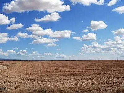 Жетісу өңірінде 170 миллионның жері мемлекетке қайтарылды