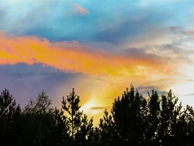 Іле-Балқаш резерватындағы өрт: қылмыстық іс қозғалды