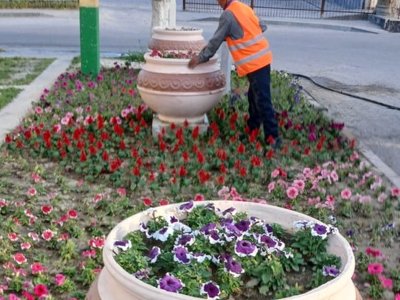 Жасыл аймақ: Ордабасы ауданында жалпыаудандық сенбіліктер...