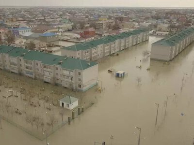 Құлсарыда сібір жарасы таралуы мүмкін бе?