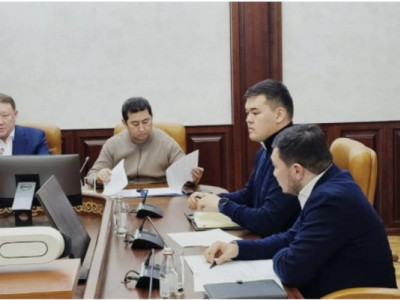 Қостанай облысында шегірткелерге қарсы күрес шаралары талқыланды