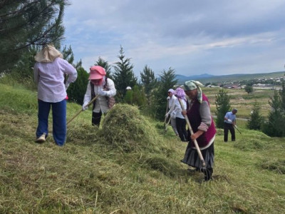 Түркістан: Республикалық экоакция Қазығұрт ауданында...