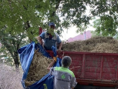 Түркістан: Арыста  Таза Қазақстан акциясы аяасында демалаушыларға қолайлы орта қалыптасуда