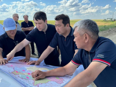 104 км қазақстандық тараптан шекара бойында шегірткеге қарсы өңдеу жүргізілді