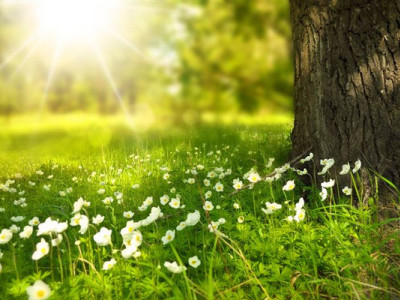 Бүгін елімізде ауа райы қандай болады