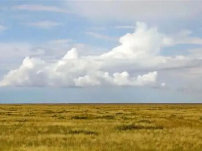 Батыс Қазақстанда 74 мың гектар жер мемлекет меншігіне қайтарылды