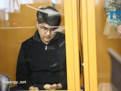 Бишімбаевтың жазасын «жеңілдетпек» болған әйелге қатысты үкім өзгеріссіз қалды