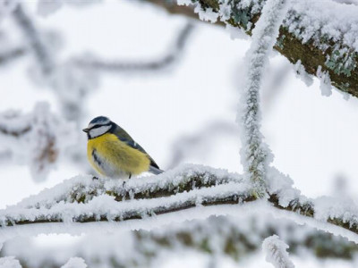 Алдағы үш күнде ауа райы қандай болады 