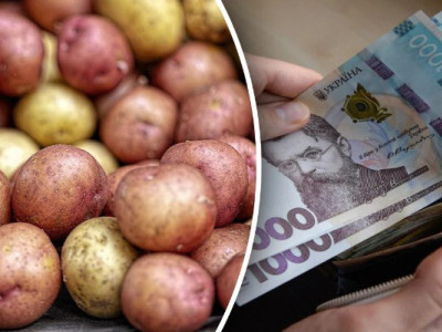Елімізде картоп бағасы қымбаттады