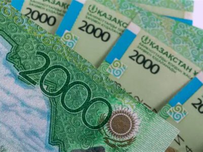 Еңбек министрлігі мүгедектік және асыраушысынан айырылу бойынша төленетін әлеуметтік төлемдердің көлемін айтты