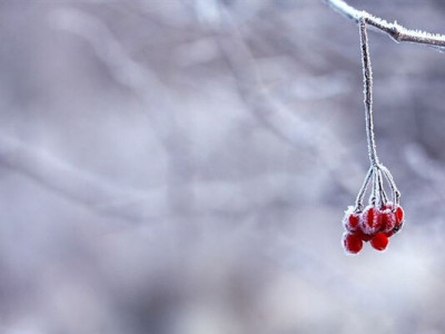 Демалыс күндері Қазақстанда бұрқасын, жаңбыр және -23°C дейін күн суытады
