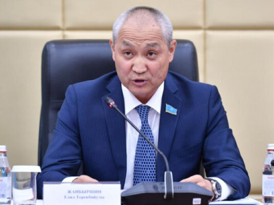 Депутат елді қандай идея біріктіретінін айтты