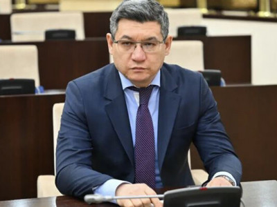 Сенат Жоғары аудиторлық палатаның мүшесін тағайындады
