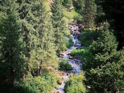 «Горельник» шатқалында студент қаза тапты: тас басып қалған