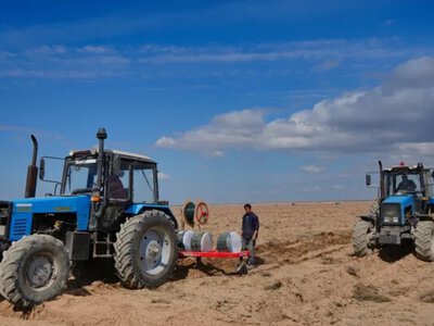 Үкімет бүгін егіс жұмыстарын жүргізудің барысын пысықтайды