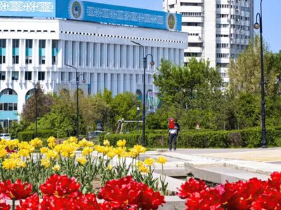 Алматыны гүлмен көмкеруге 2,6 млн теңге бөлінді