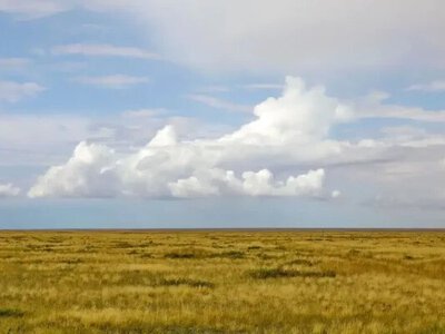 Қарағанды облысында құны 5 млрд теңгеге жуық жер мемлекет меншігіне қайтарылды