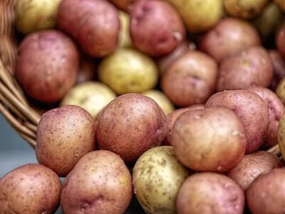 Қазақстанда кедендік бажсыз картоп импорттауға мүмкіндік берілді