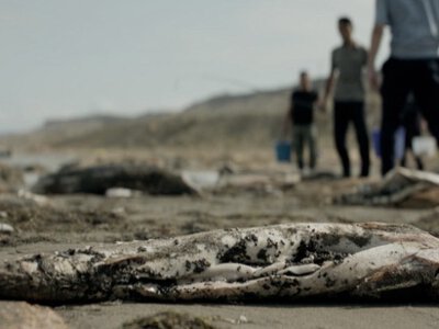 Ақтауда «Қара бекіре» атты эко-драма түсіріліп жатыр