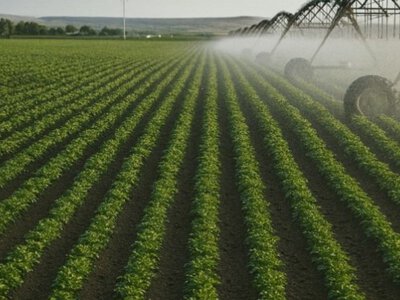 Оңтүстік өңірлерде суармалы егістіктерге жоспарланған судың 80%-дан астамы пайдаланылды