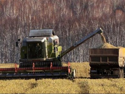 Ақмола облысында диқаншылар жиын-терінге дайындалып жатыр