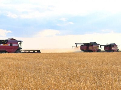 Үкімет астық экспортын қолдауға 7 млрд теңге бөлді