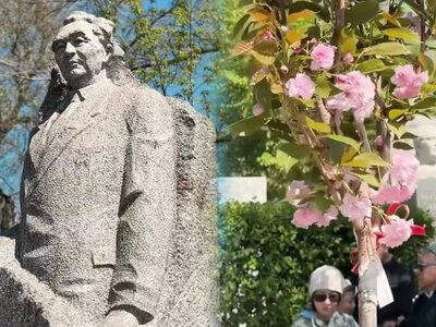 Алматыда Қаныш Сәтбаевтың бейітіне сакура көшеттері отырғызылды