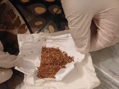Қызметтік ит түрмеге тыйым салынған затты өткізуге жол бермеді