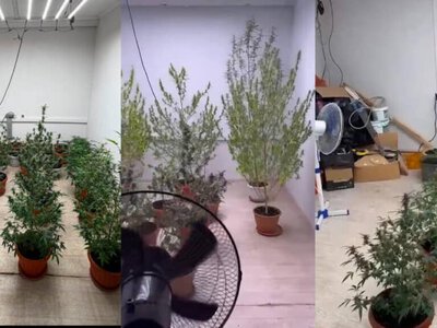 Алматыда көпқабатты үйдің жертөлесінен есірткі зертханасы анықталды