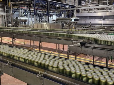 Жылына 300 млн литр: Алматыдағы Carlsberg зауыты сыраны қалай дайындайды