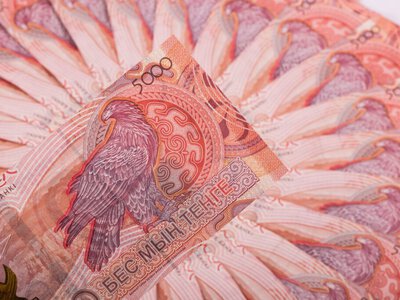 Теңге алғаш рет конституциялық мәртебеге ие болды