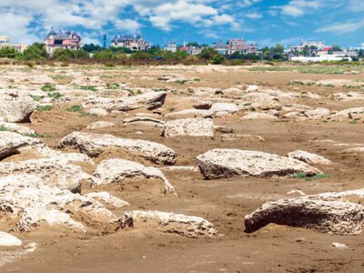 Каспий теңізінің тартылуын тоқтату мүмкін емес – Әзербайжан өкілі