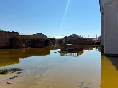 Төрт күн жаңбыр: Бейнеу ауылында 90 үйдің ауласын су басты