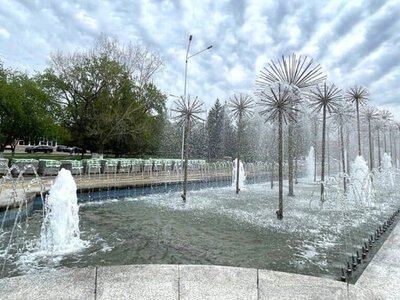 Петропавл әкімдігі маңындағы субұрқаққа жалаңаш түскен тұрғын жазаланды